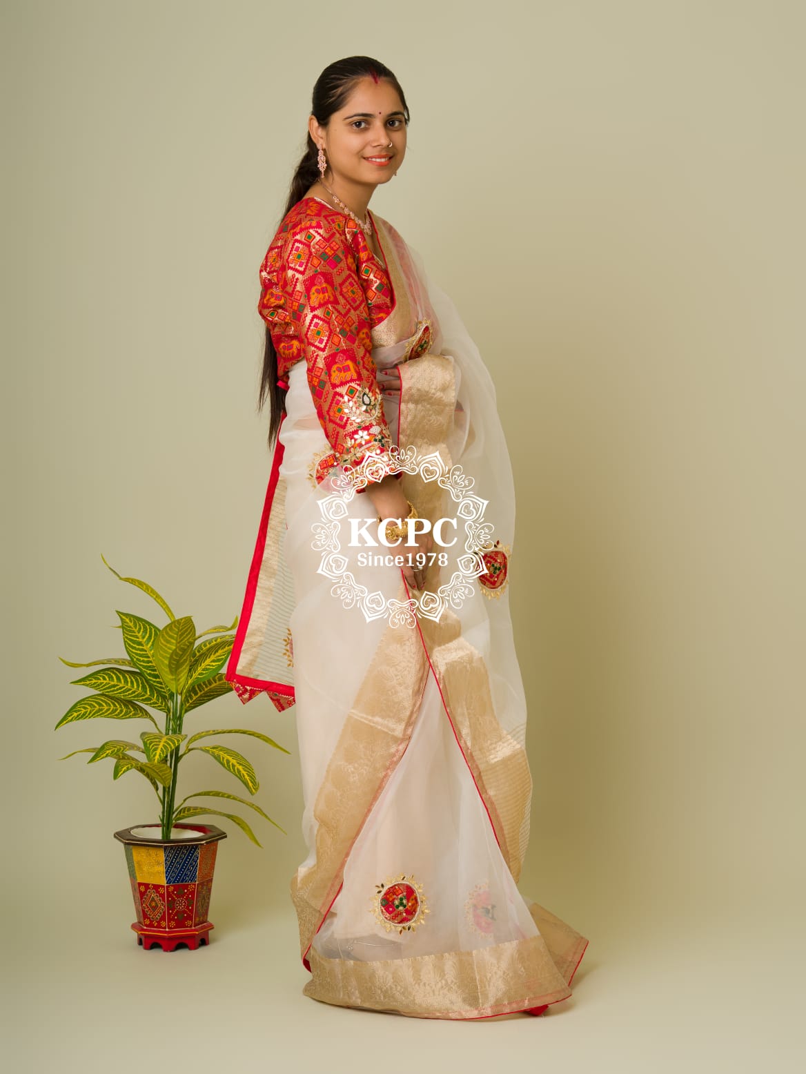 Pure soft Viscose Organza with Chit Pallu saree, GS, NR