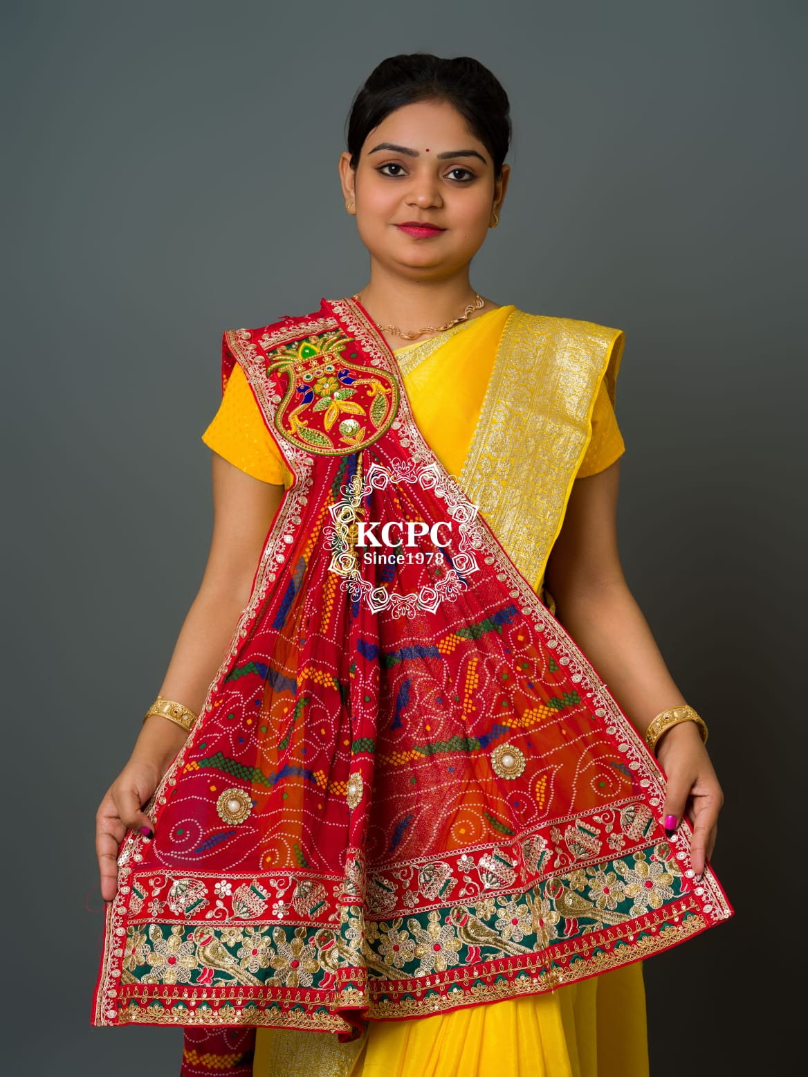 Latest Georgette Marwardi Broach Stole