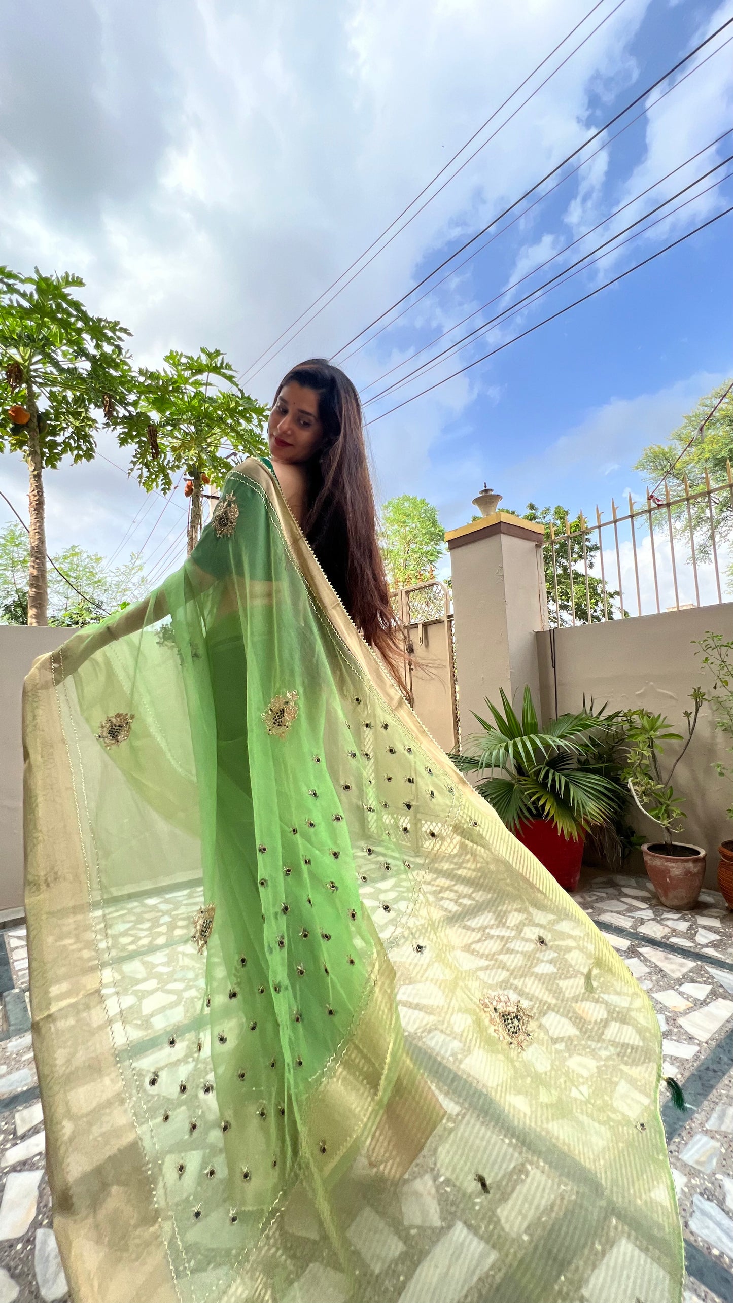 Priyaz Gallery special teez sinjara organza fabric, saree