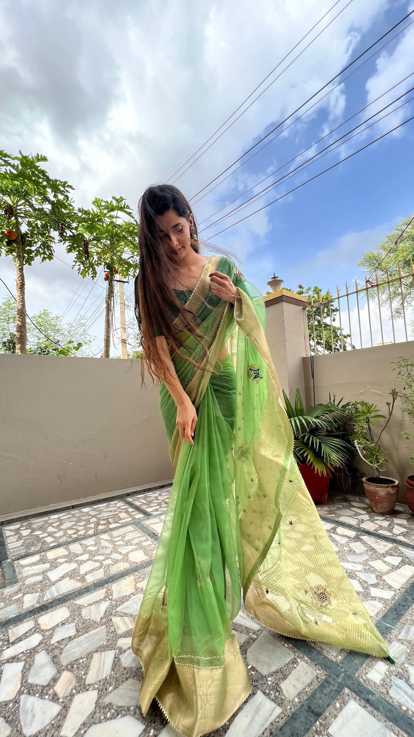 Priyaz Gallery special teez sinjara organza fabric, saree