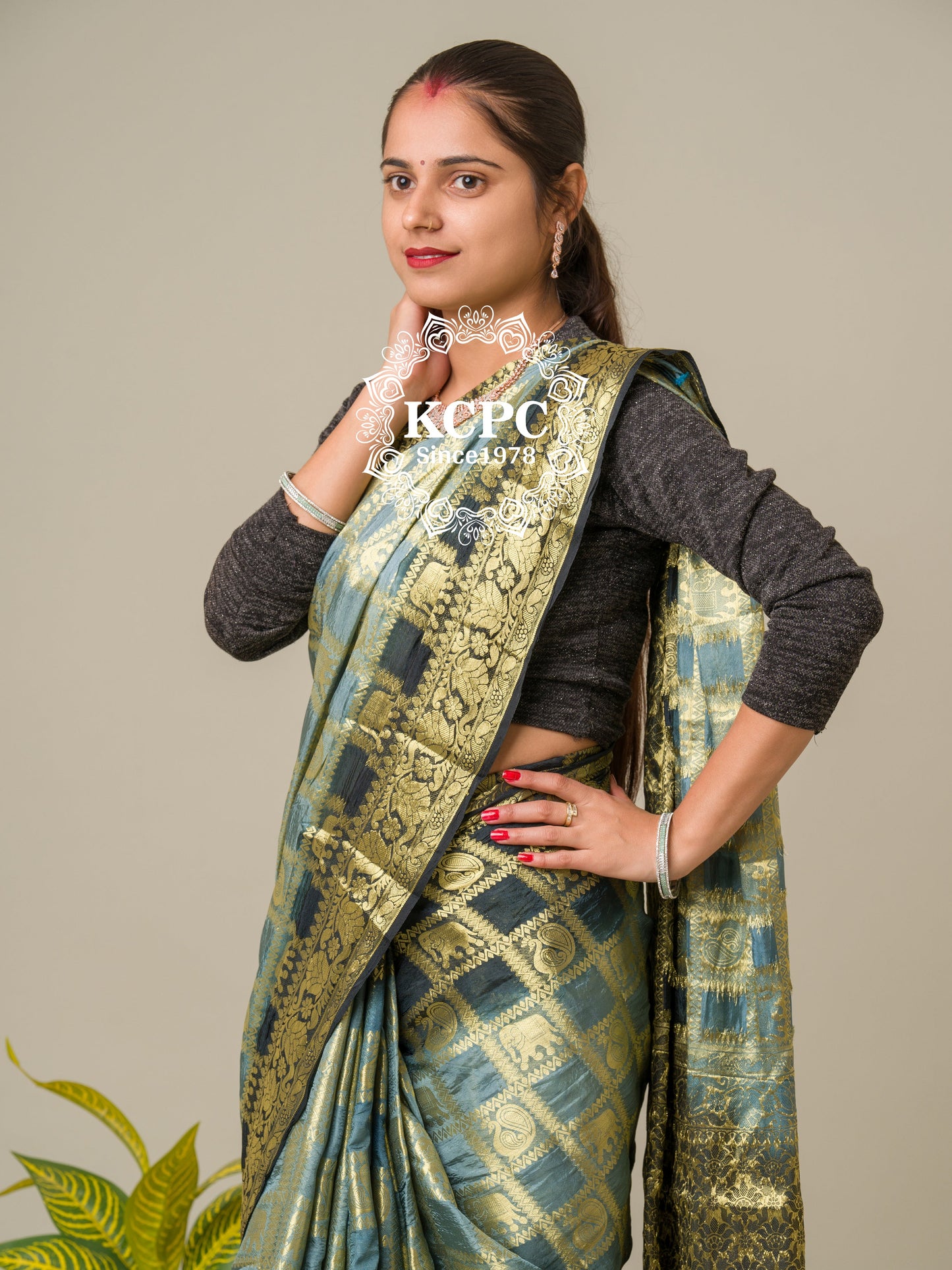 Heavy Zari Fabric Ghadchola Banarsi Silk Saree,KC,IR