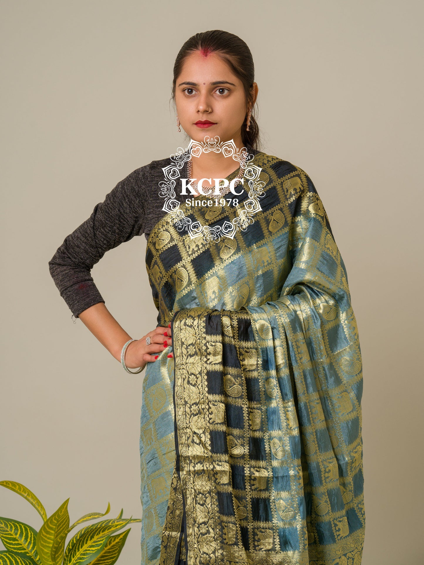 Heavy Zari Fabric Ghadchola Banarsi Silk Saree,KC,IR