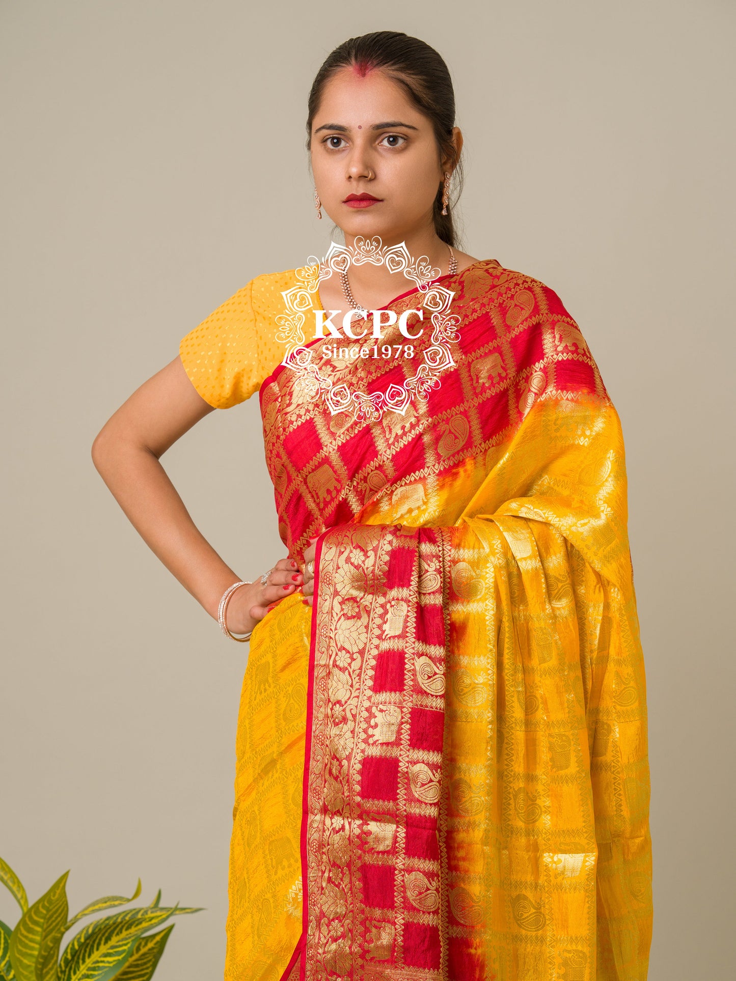 Heavy Zari Fabric Ghadchola Banarsi Silk Saree,KC,IR