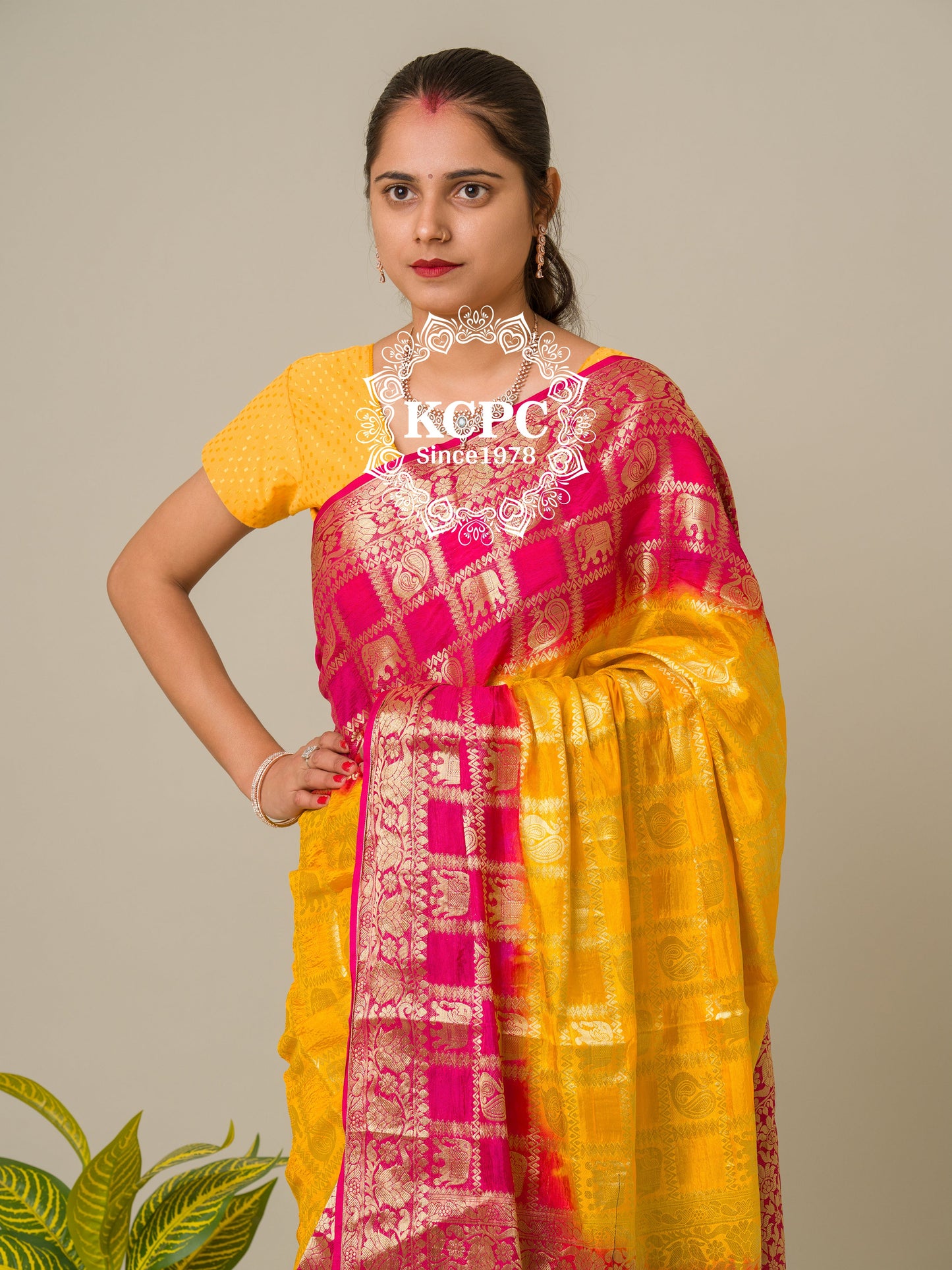 Heavy Zari Fabric Ghadchola Banarsi Silk Saree,KC,IR