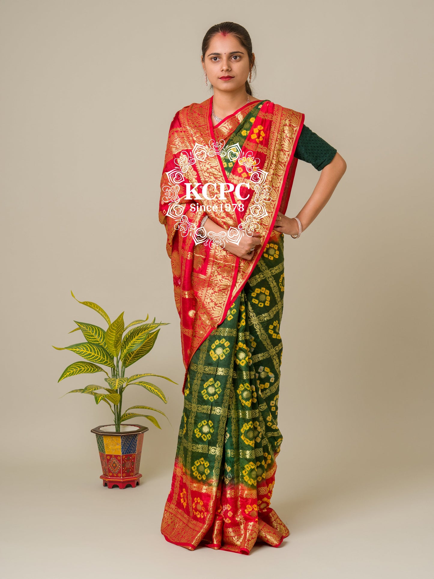 Bandhej silk gharchola Single coin saree