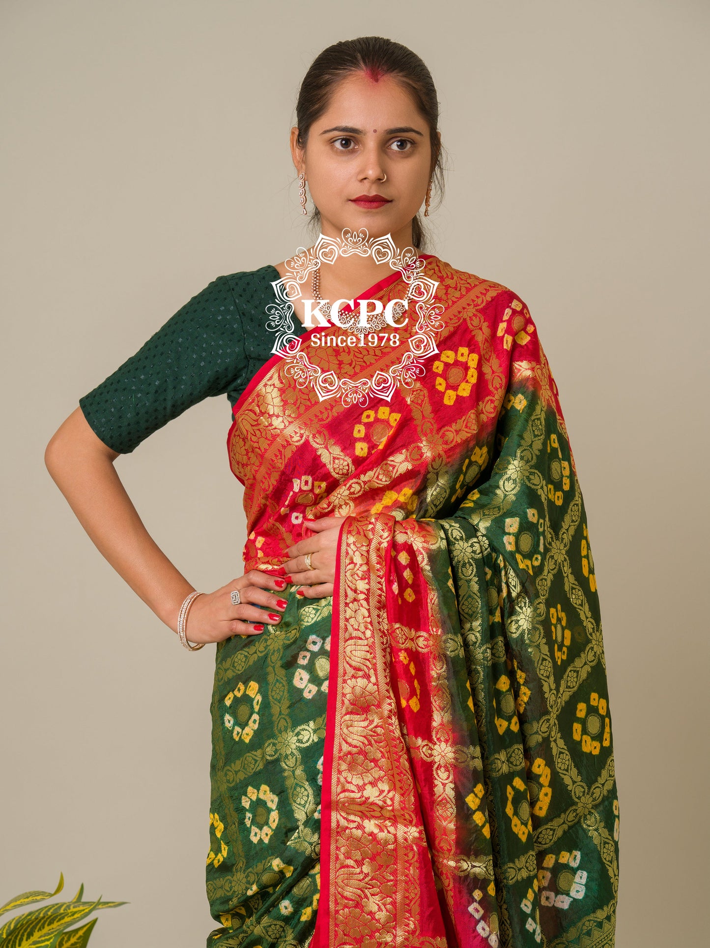 Bandhej silk gharchola Single coin saree