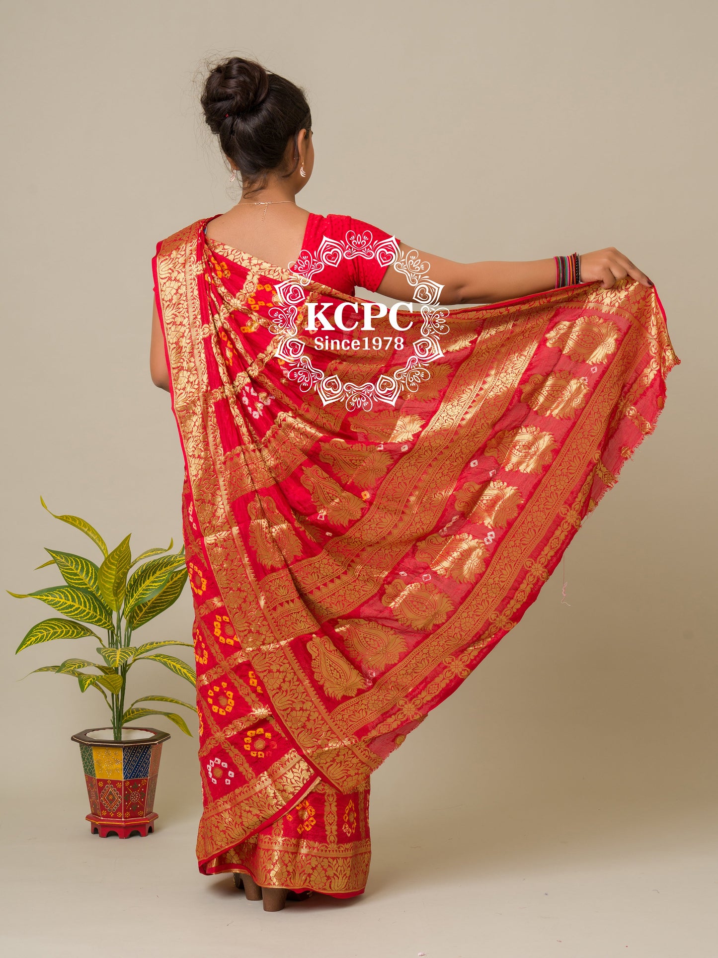 Bandhej silk gharchola Single coin saree