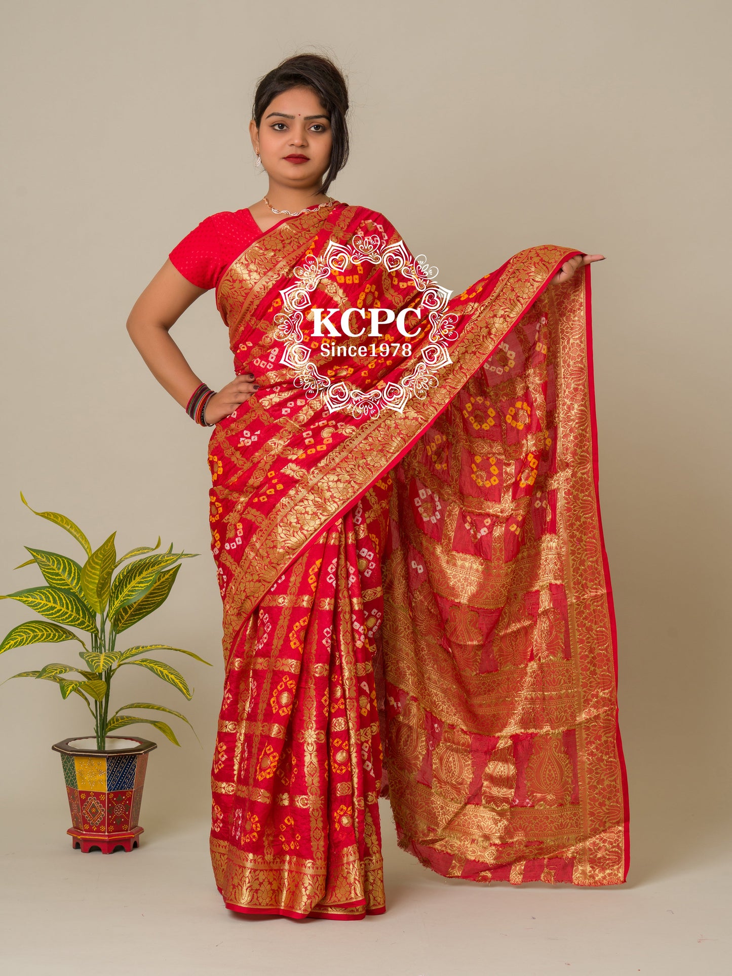 Bandhej silk gharchola Single coin saree