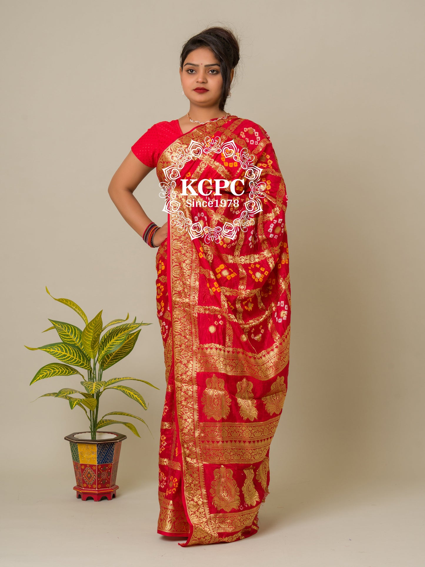 Bandhej silk gharchola Single coin saree