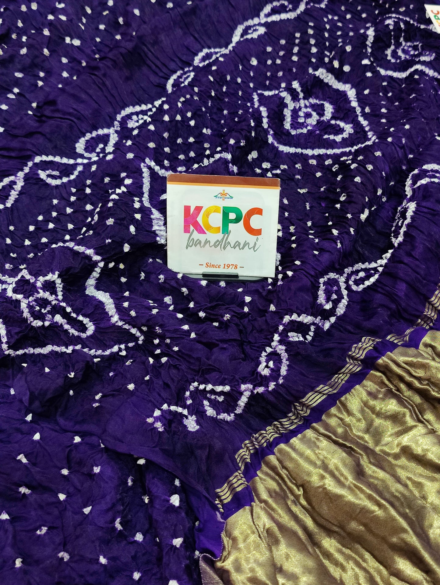 Gaji Silk Bandhani Ekdana Bandhej Saree with Lagdi Patta, NR, KCPC