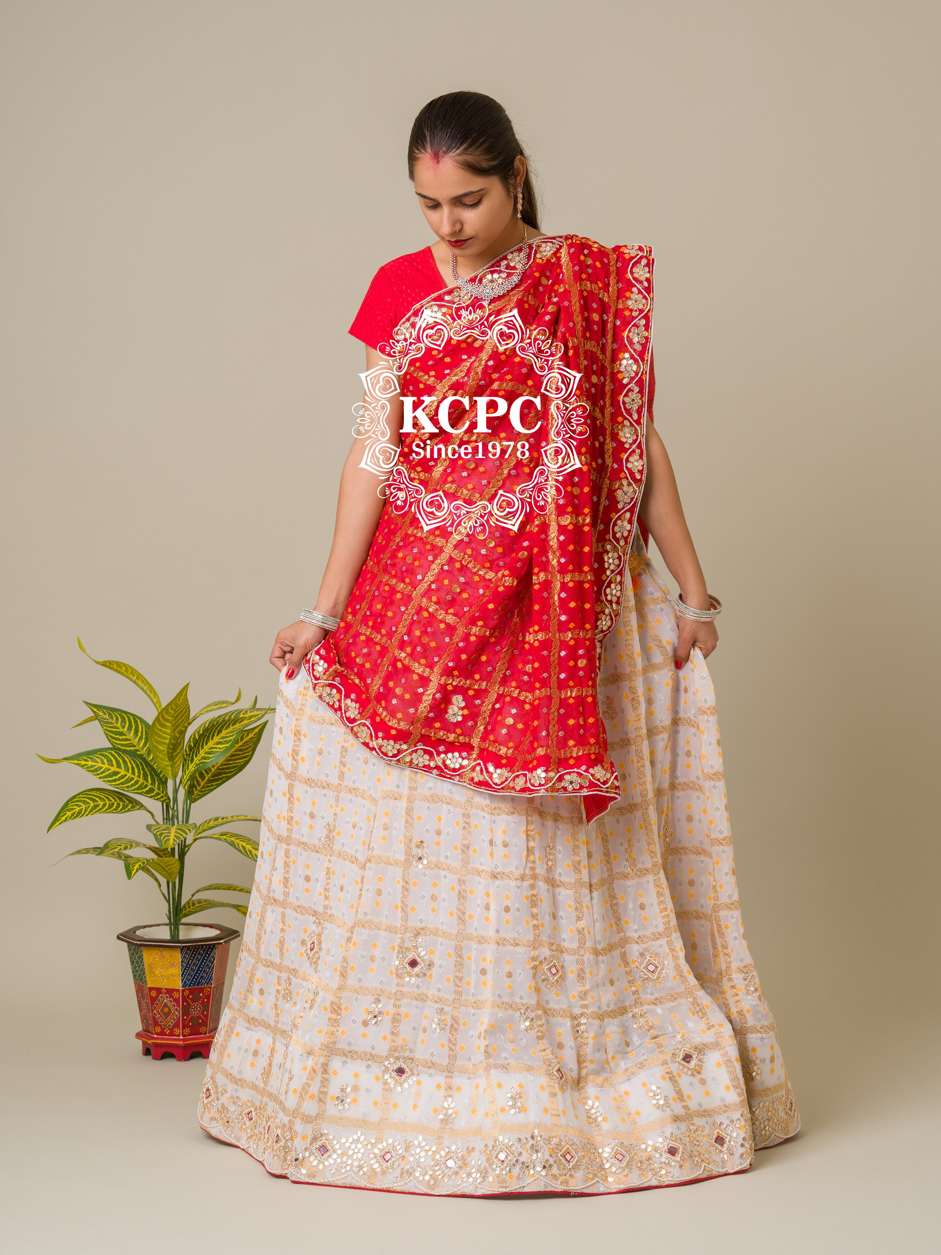 Anita Dongre's Jaipuri Lehenga | Indian bridal outfits, Indian dresses,  Indian fashion dresses